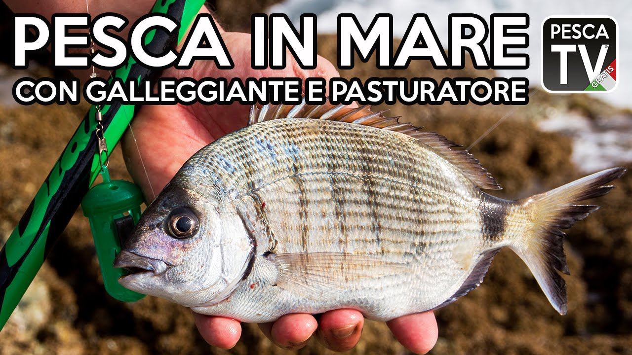 https://www.amato.it/wp-content/uploads/2018/04/pesca-in-mare-con-galleggiante-e-pasturatore-RA19IqMhSDw.jpg