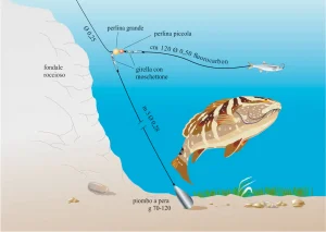 pesca-fondo-rockfishing-montatura